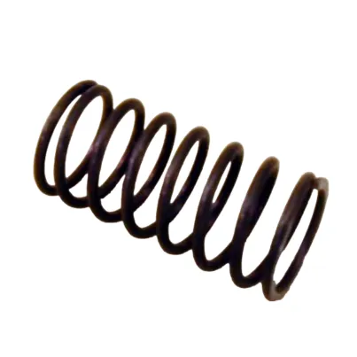 Vacuum regulator coil spring