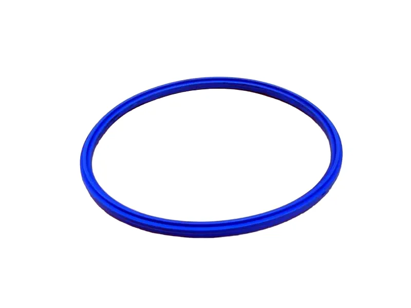 Blue round centre gasket for Jetstream 10L sanitary trap