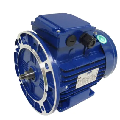 Blue 1.1kW three-phase IE3 motor 80 frame B35 flange for centrifugal milk pump