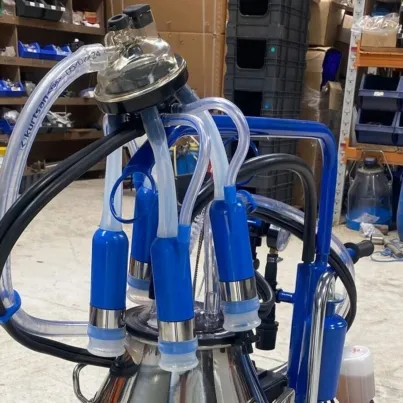 Single Milking Machine for Dairy Farms
